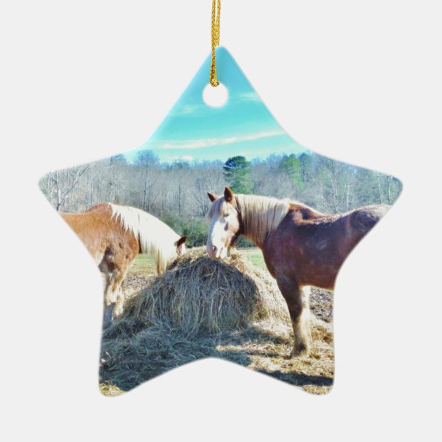 Räddad matsäck för djuphavshö julgransprydnad keramik (Framsidan)