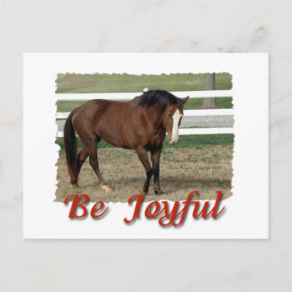 Räddad Morgan Horse: vara Glatt Vykort