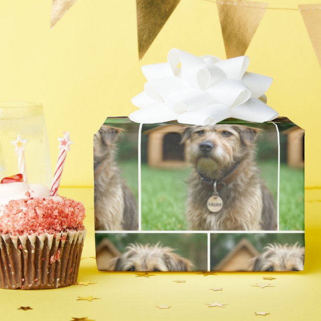 Räddad Strulig Hund Med Hundkoja Presentpapper (Födelsedagsfest)