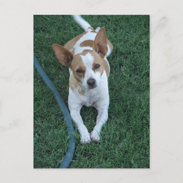 Räddad Vykort (Framsida)