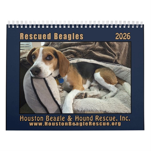 Räddade Beagles 2026 Väggkalender Kalender (Omslag)