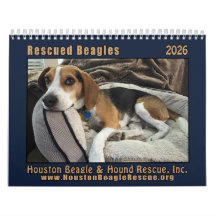 Räddade Beagles 2026 Väggkalender