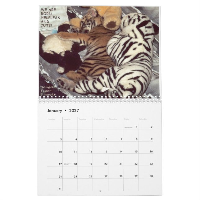 Räddade djur - vi är inte husdjur kalender (Jan 2027)