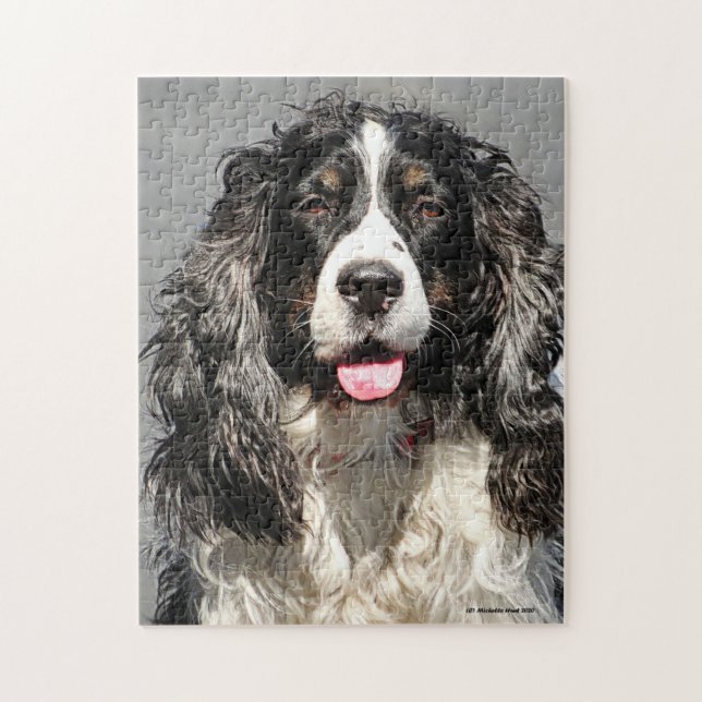 Räddade Springer spanel Hund Jigszle Puzzle Pussel (Vertikal)