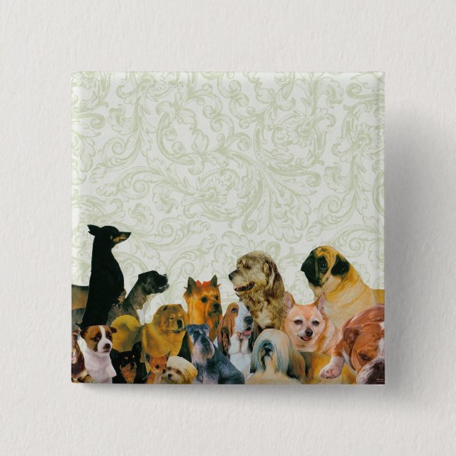 RaddahundCollage knäppas Knapp (Framsida)