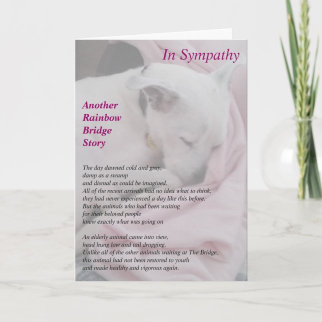 Räddare sympatikort kort (Framsida)