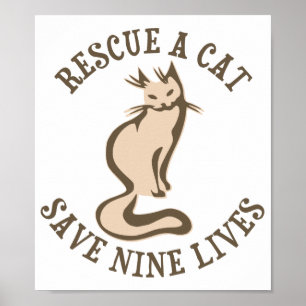 Rädding A Katt Spara nio liv Poster