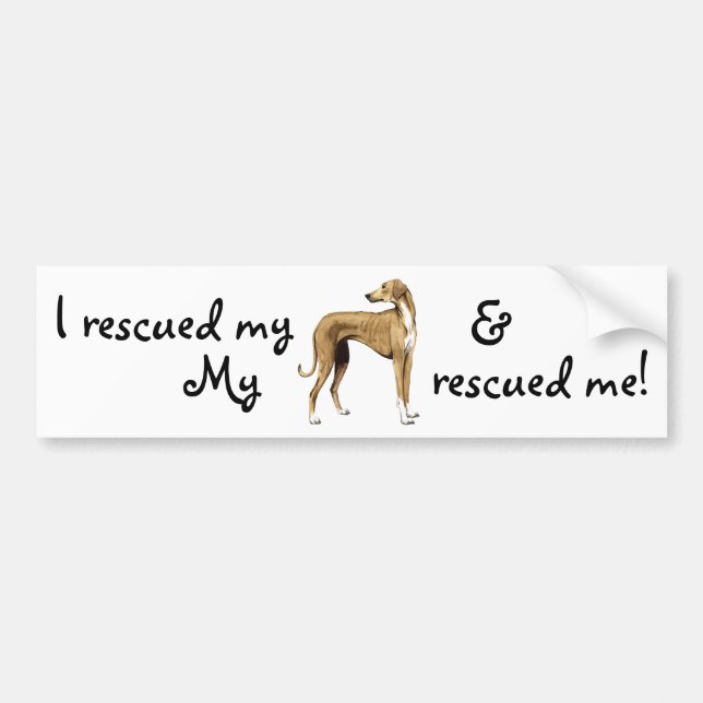 Rädding Azawakh Bildekal (Framsidan)