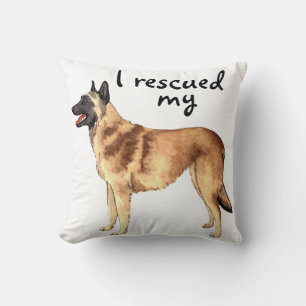 Rädding Belgium Malinois Kudde
