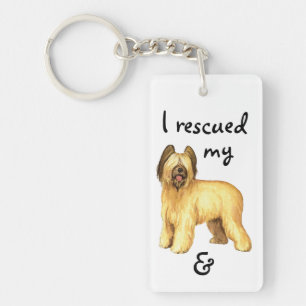 Rädding Briard