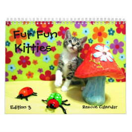 Rädding Cat Calendar - Edition 3 Kalender