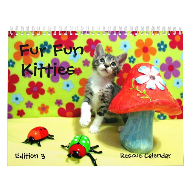 Rädding Cat Calendar - Edition 3 Kalender (Omslag)