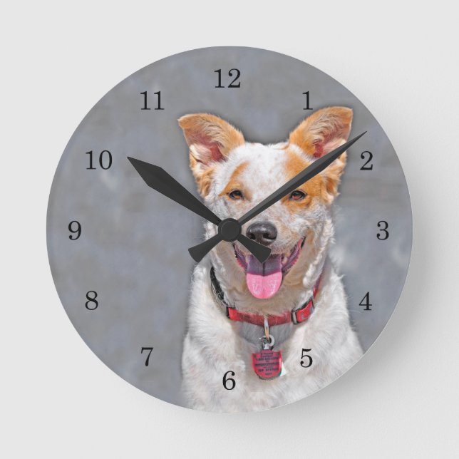 Rädding Cattle Hund Rund Klocka (Framsida)