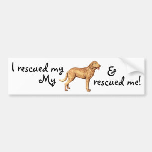 Rädding Chesapeake Bay Retriever Bildekal