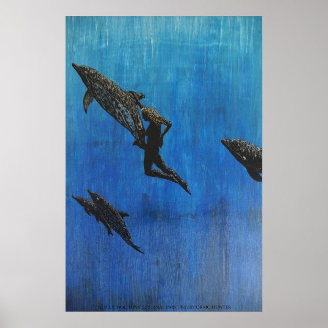 Rädding delfins poster (Framsidan)