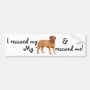 Rädding Dogue de Bordeaux Bildekal