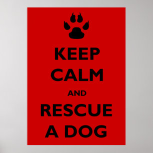 Rädding för behållalugnhund poster