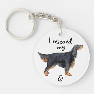 Rädding Gordon Setter
