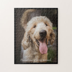 Rädding Hund Standard Pudel Puzzle Pussel