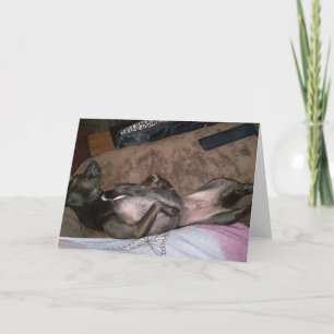 Rädding-Hundar-mappat gratulationskort Kort