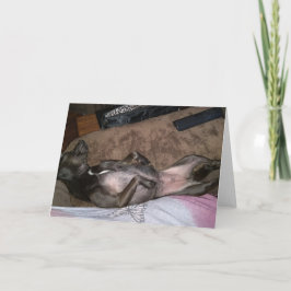 Rädding-Hundar-mappat gratulationskort Kort