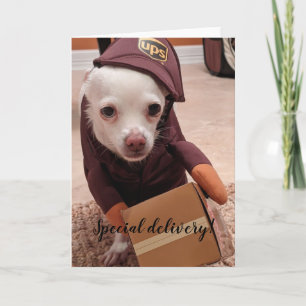 Rädding Hundar Standard, 5-tums x 7-tums mappat gr Kort