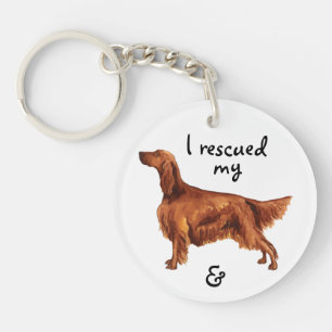 Rädding Irish Setter