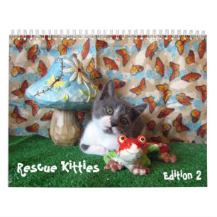 Rädding Kattkalender - utgåva 2 Kalender