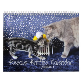 Rädding Kattkalender - utgåva 4 Kalender