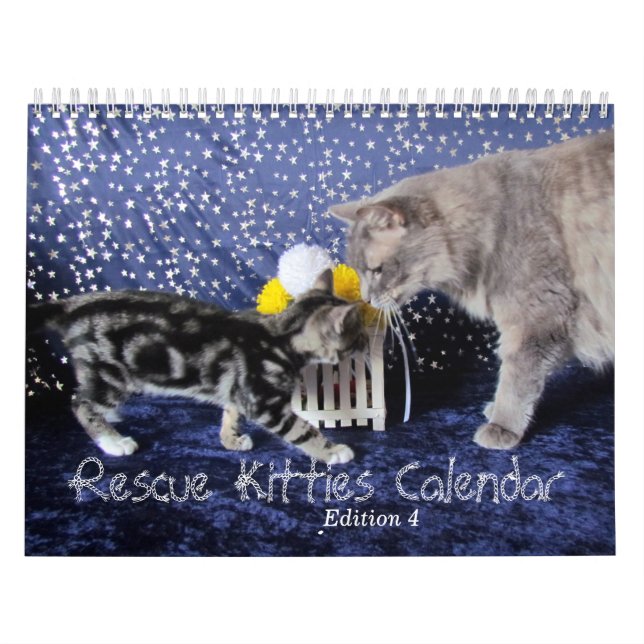 Rädding Kattkalender - utgåva 4 Kalender (Omslag)