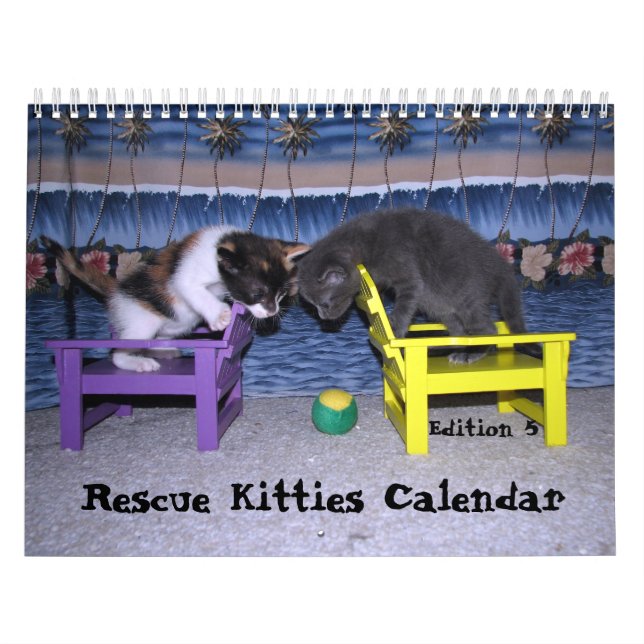 Rädding Kattkalender - utgåva 5 Kalender (Omslag)