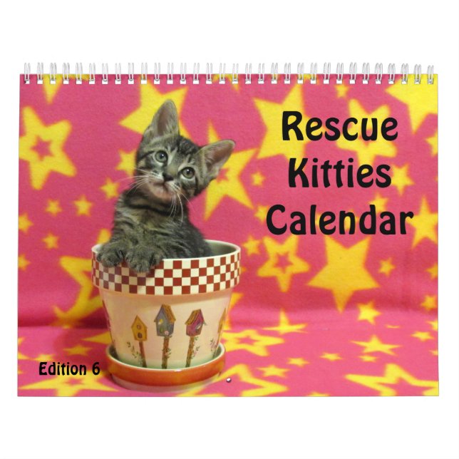 Rädding Kattkalender - utgåva 6 Kalender (Omslag)