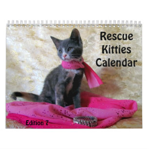 Rädding Kattkalender - utgåva 7 Kalender