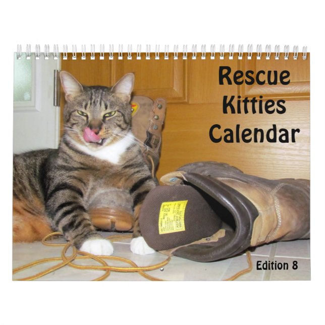 Rädding Kattkalender - utgåva 8 Kalender (Omslag)