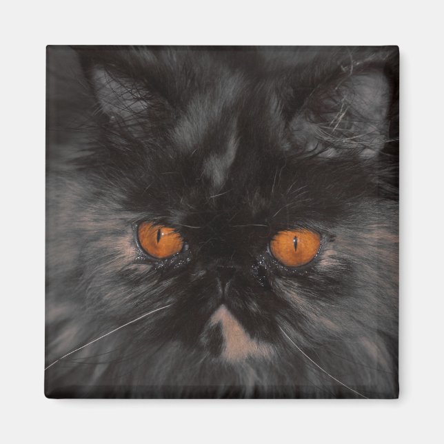 rädding Kattunge magnet (Framsidan)