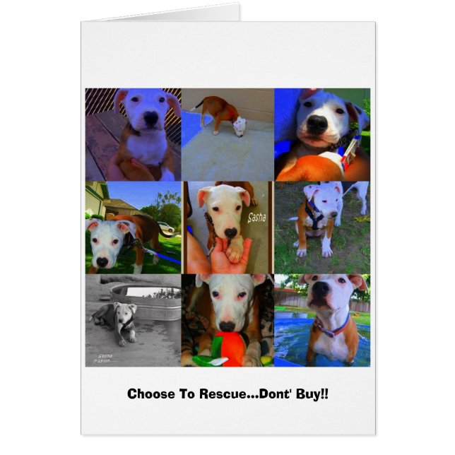 Rädding-kort.. Hälsningskort (Framsidan)