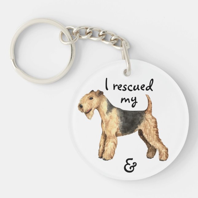 Rädding Lakeland Terrier (Framsidan)