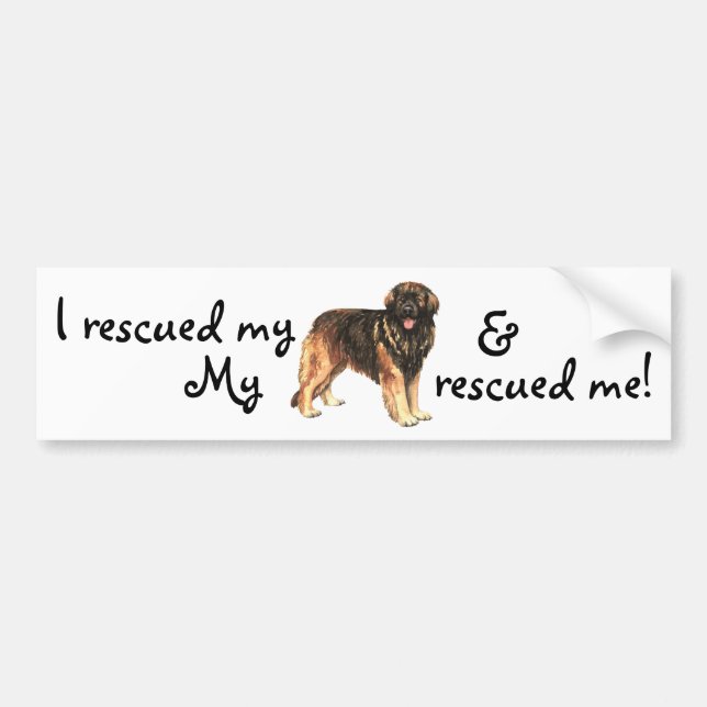 Rädding Leonberger Bildekal (Framsidan)