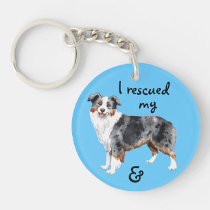 Rädding Miniature American Shepherd