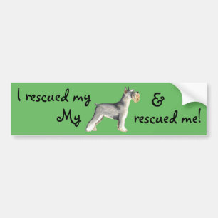 Rädding Miniature Schnauzer Bildekal