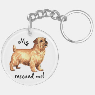 Rädding Norfolk Terrier