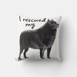 Rädding Schipperke Kudde