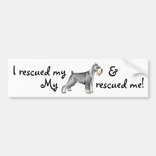 Rädding Standard Schnauzer Bildekal (Framsidan)