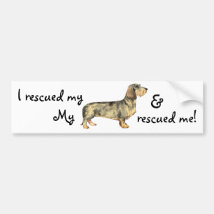 Rädding Wirehred Dachshund Bildekal