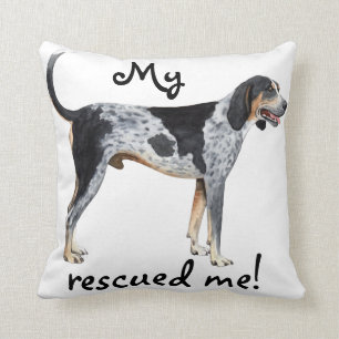 RäddingBluetick Coonhound Kudde
