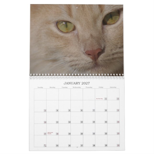 Räddingdjurkalender Kalender (Jan 2027)
