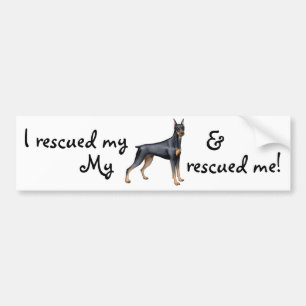 RäddingDobermanPinscher Bildekal