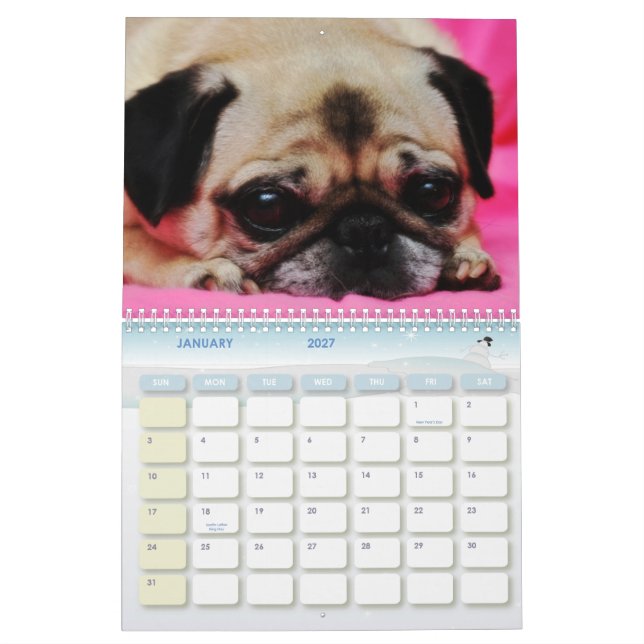 Räddingen förföljer kalender II (Jan 2027)