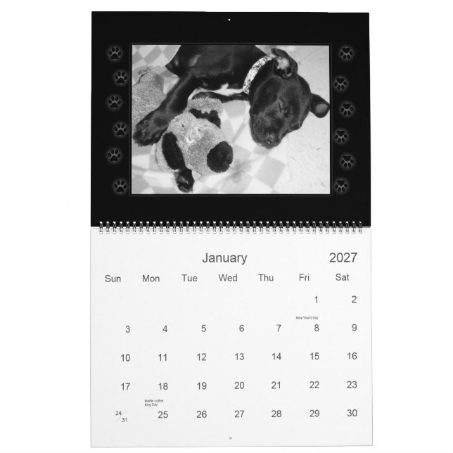 Räddingen förföljer kalendern kalender (Jan 2027)