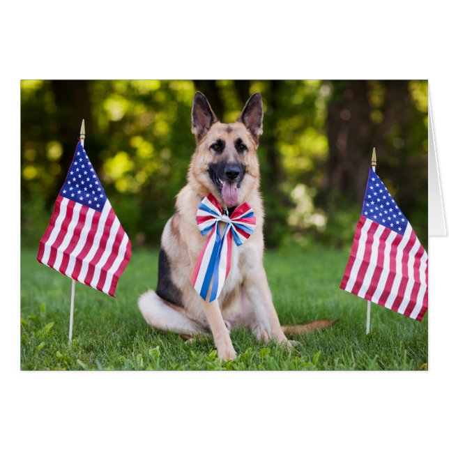 Räddinghund "hök ", hälsningskort (Framsidan Horizontal)